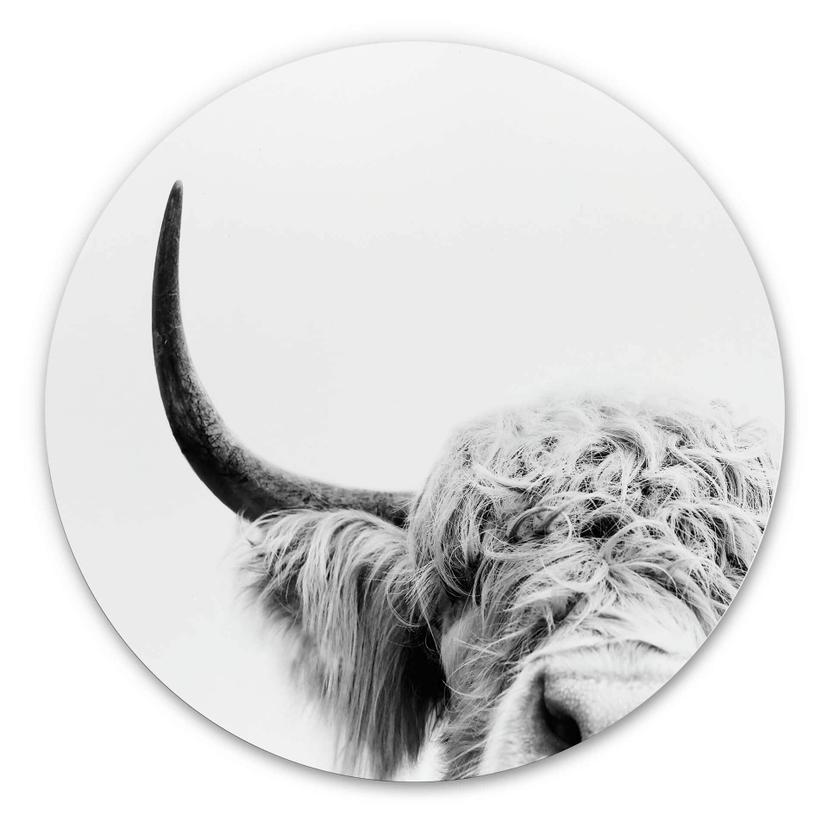 Wandcirkel Sisi & Seb - Bull
