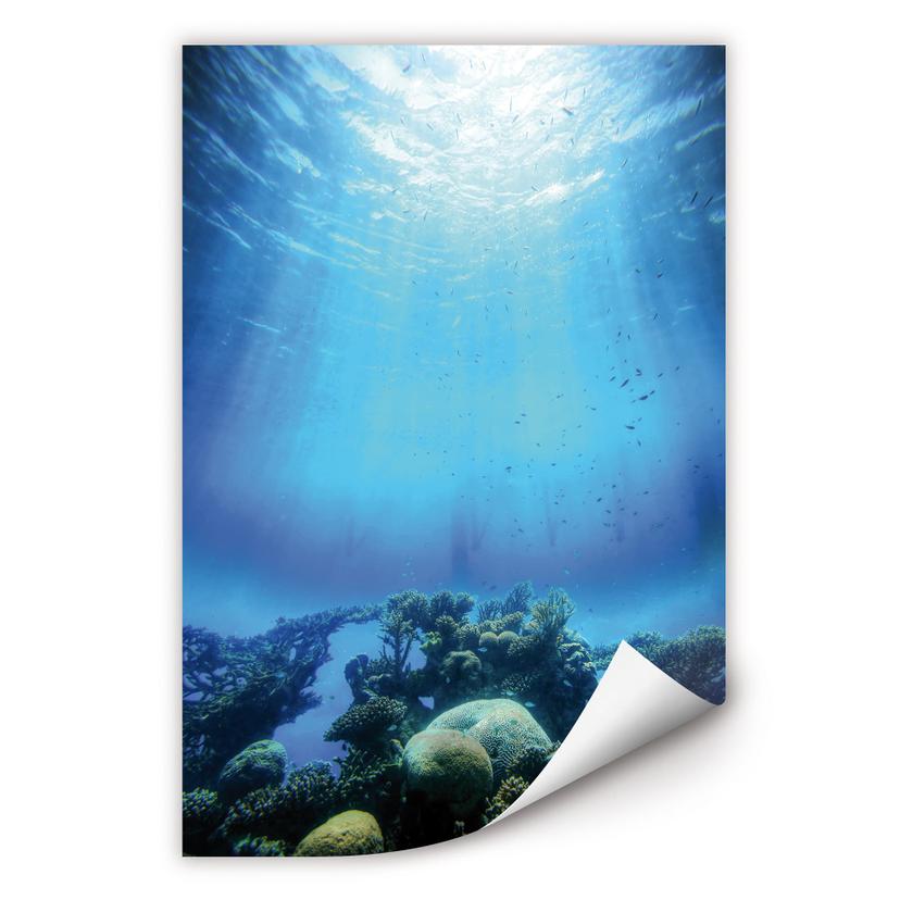 Poster autocollant - W - Fonds Marins