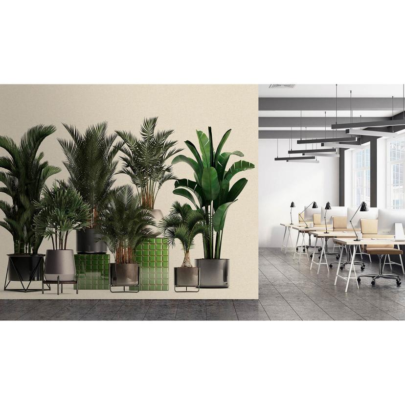 Livingwalls papier peint photo  Walls by Patel 3 Plant Shop 1