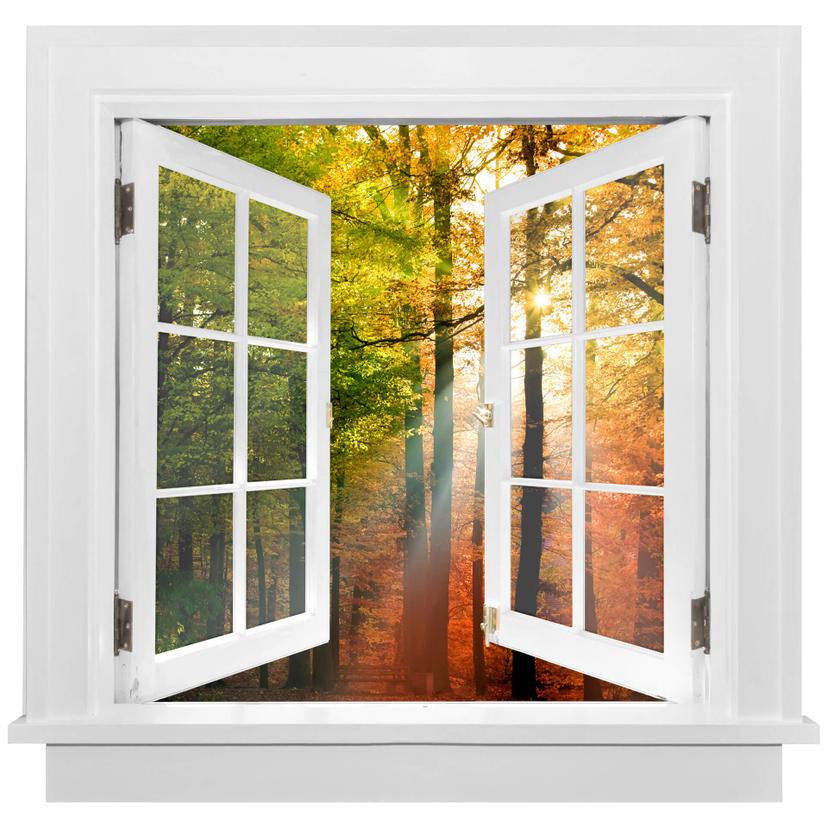 Adesivo murale 3D - Autunno dorato