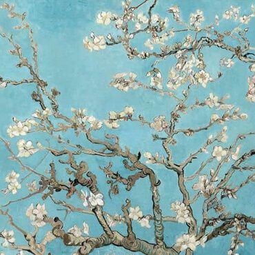 Vincent van Gogh