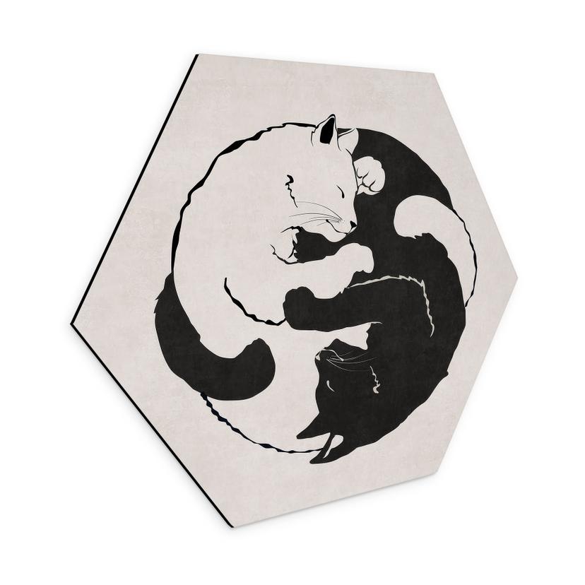 Hexagon Dibond Katte Ying & Yang - Tunaboylu