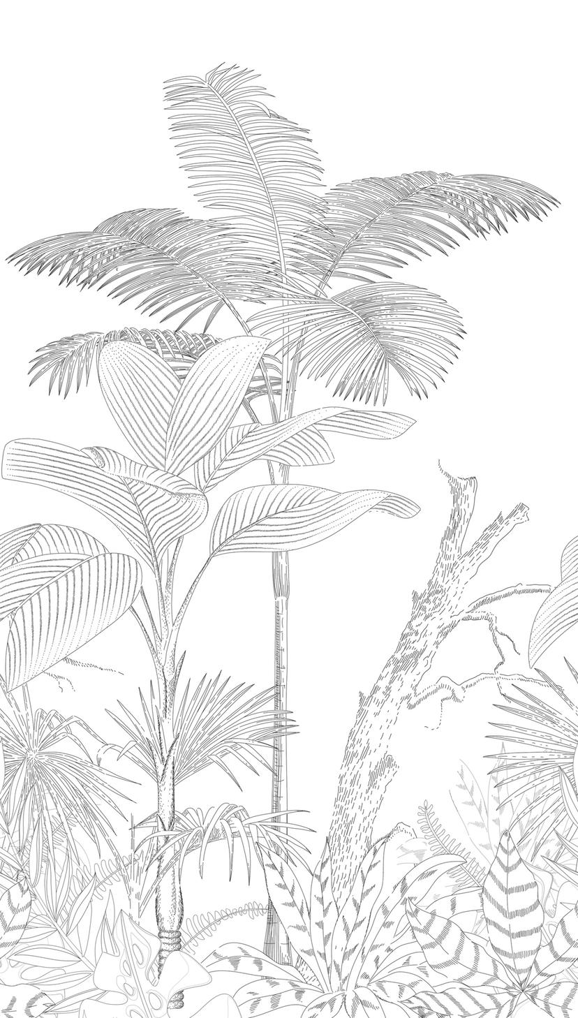 carta da parati jungle bianco nero - carta da parati in tessuto non tessuto botanica Livingwalls - o