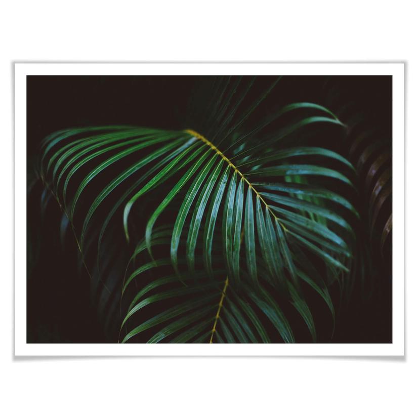 Poster Botanical 04