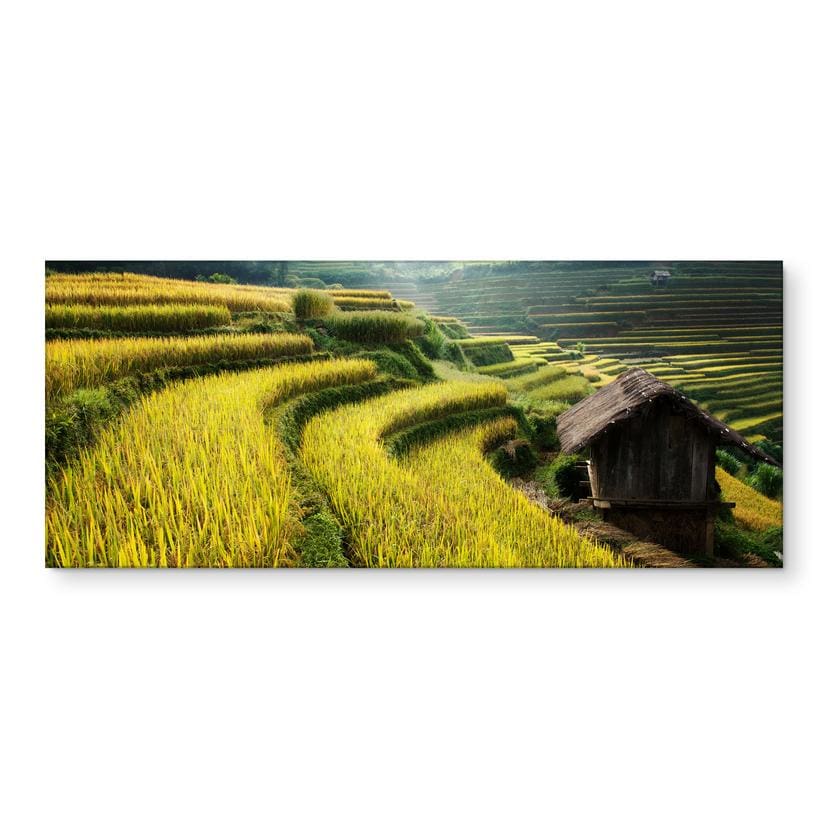 Küchenrückwand Intarob - Reisfelder in Vietnam