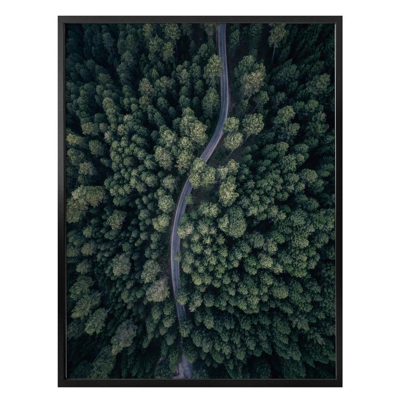 Póster López - La vista desde arriba: Carretera en el bosque