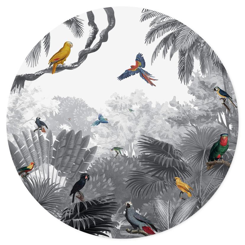Vinilo decorativo Kikki Belle - Aves tropicales en blanco y negro - Redondo
