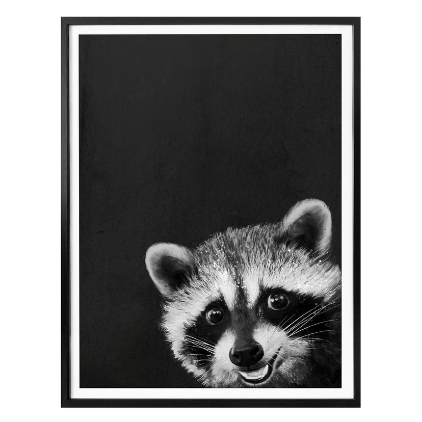Póster Graves - Racoon