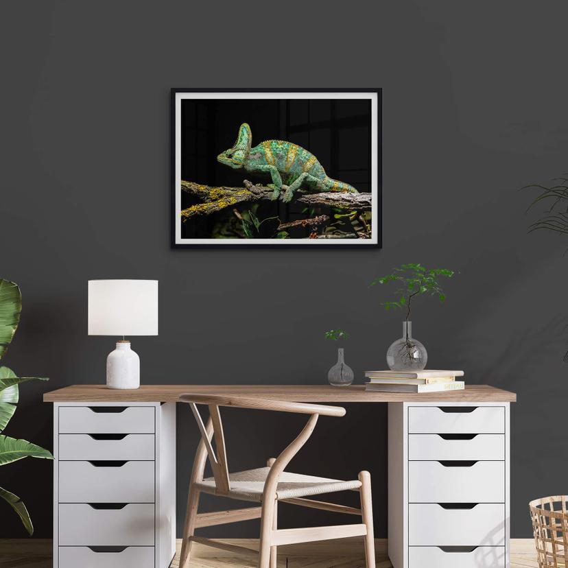 Poster Brown - Kameleont