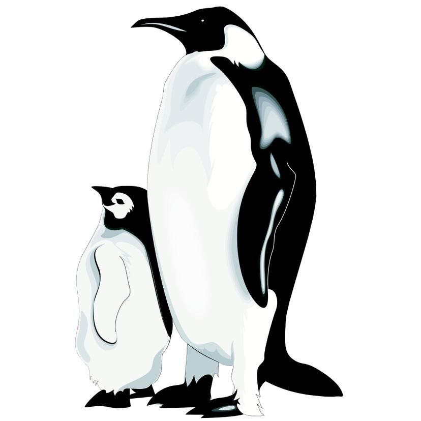 Adesivo murale - Pinguini