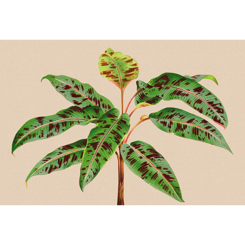 Livingwalls photo wallpaper Walls by Patel 3
