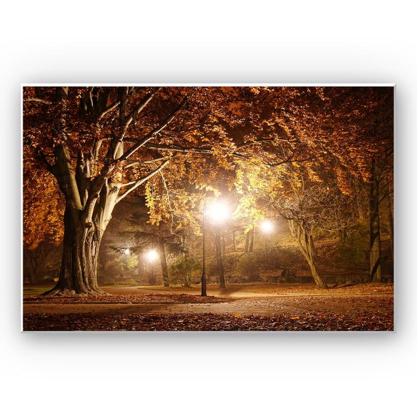 Tableau Forex - Automne au parc