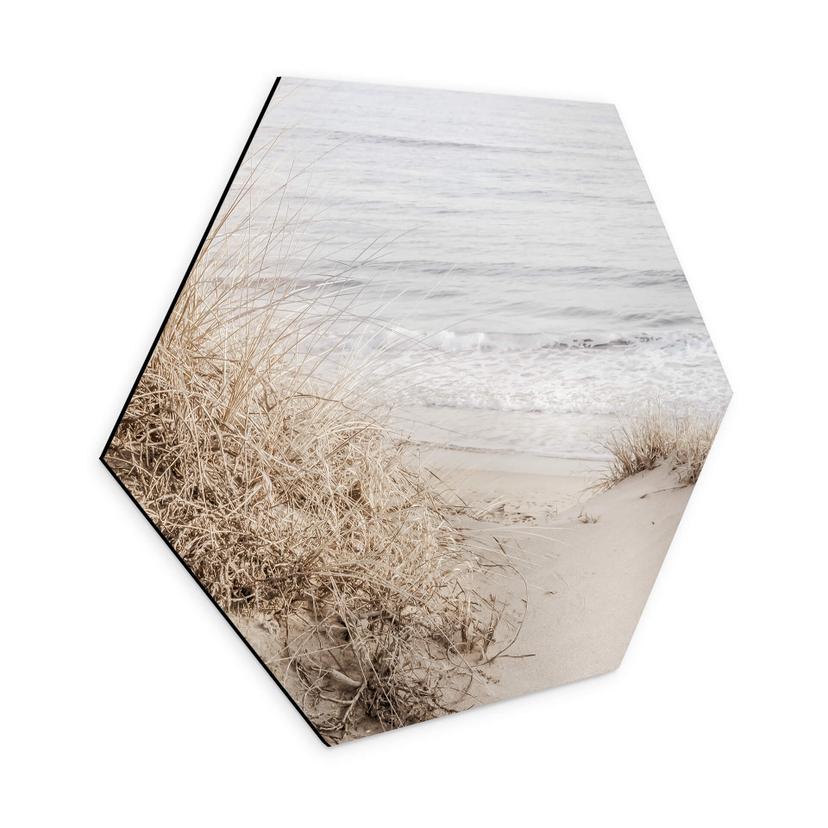 Hexagone - alu-Dibond 1X Studio -Plage de dunes