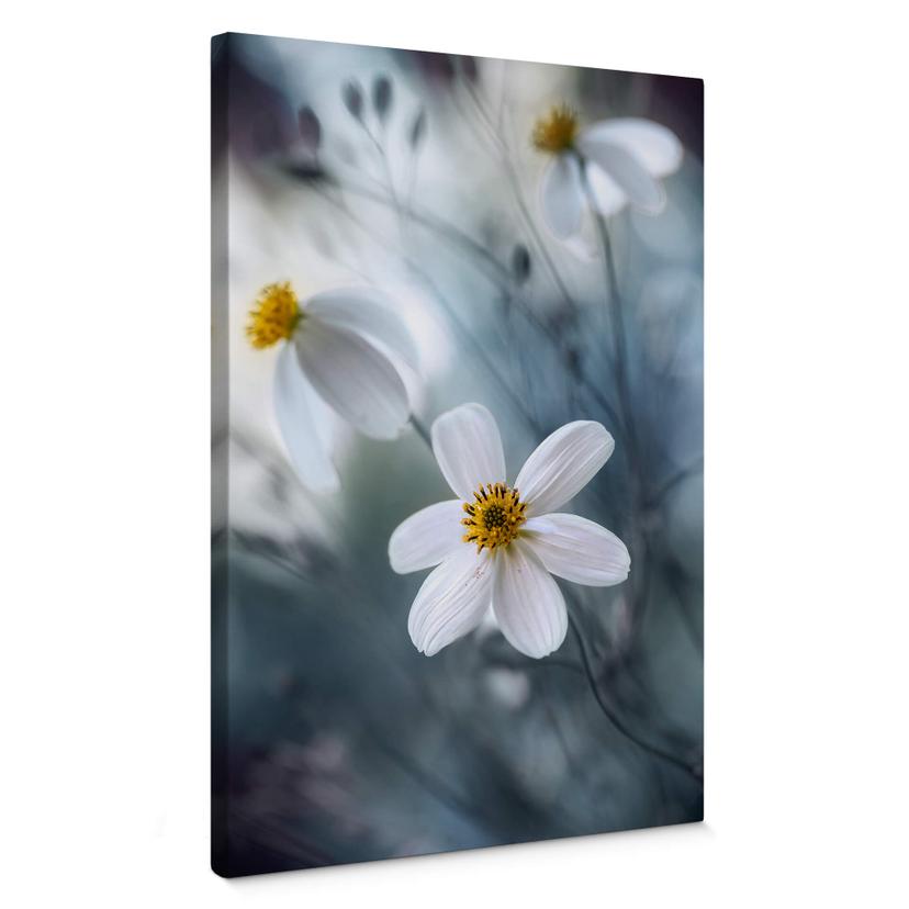 Lienzo Disher - La flor blanca