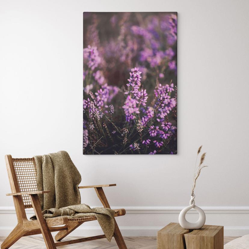 Canvas schilderij paarse heidebloesem in warm licht - Annie