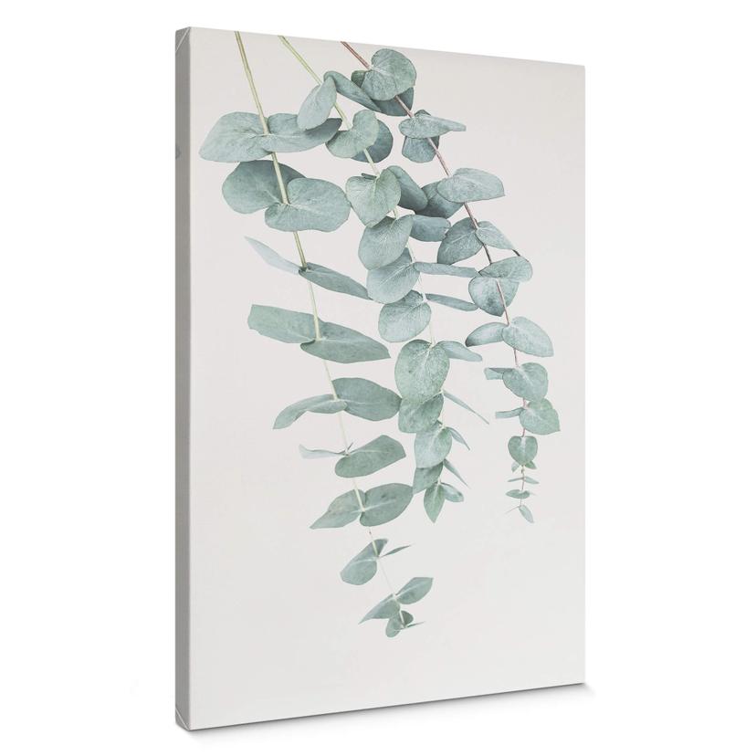 Canvasbillede - Sisi & Seb - Eukalyptus: flere grene