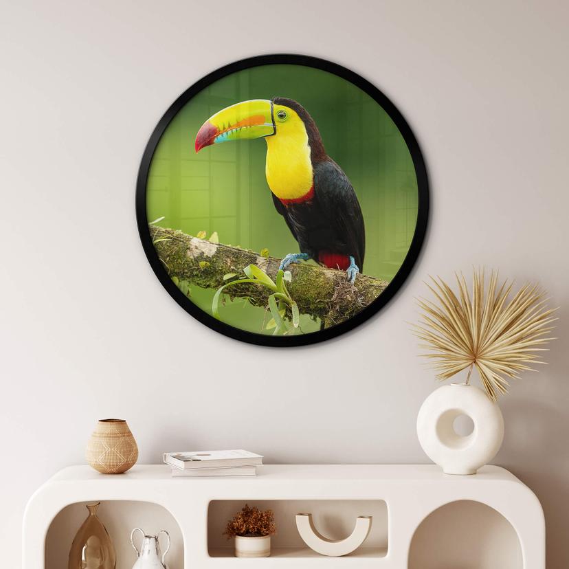 Poster van Duijn - Fiskartukan i Costa Rica - Rund