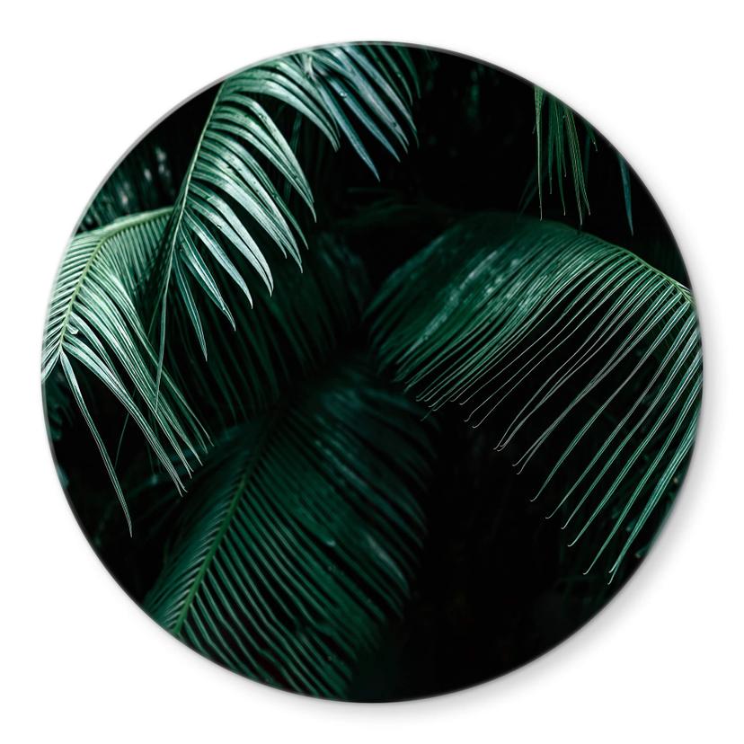 Tableau sur verre rond Botanique tropicale
