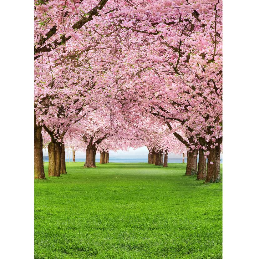 Fototapete Papiertapete Cherry Trees - 183x254 cm