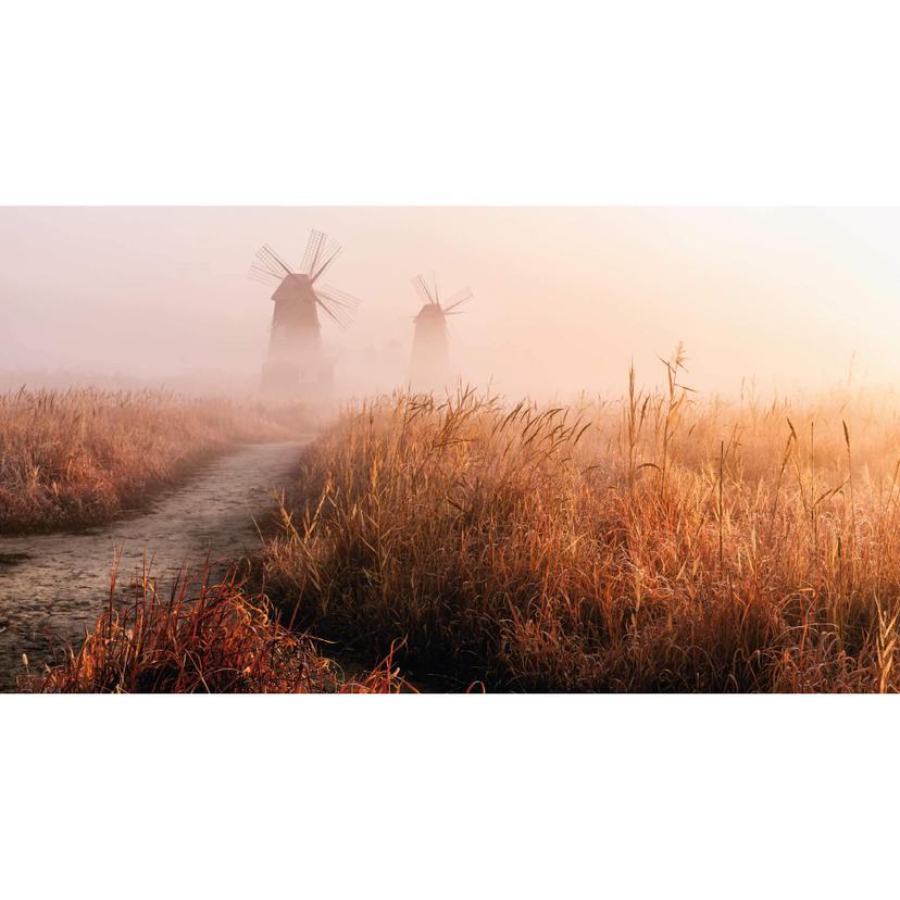 Fotomurale Eom - Mattina nebbiosa - 480x260 cm