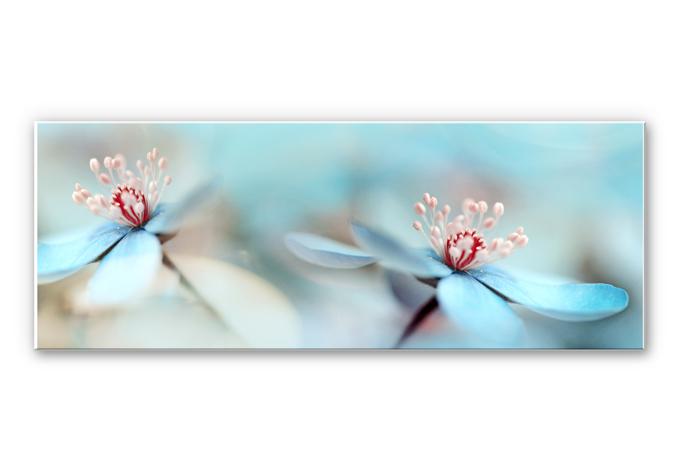 Tableau Forex - Westum - Fleurs délicates