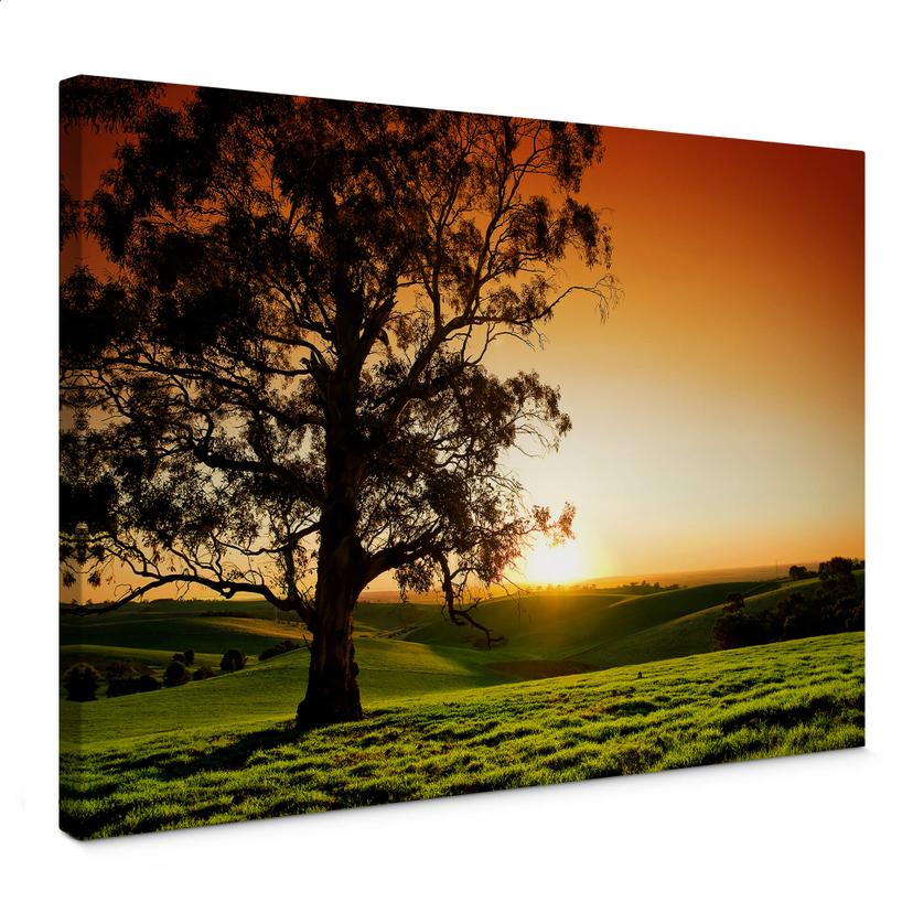 Stampa su tela Tramonto sulle colline