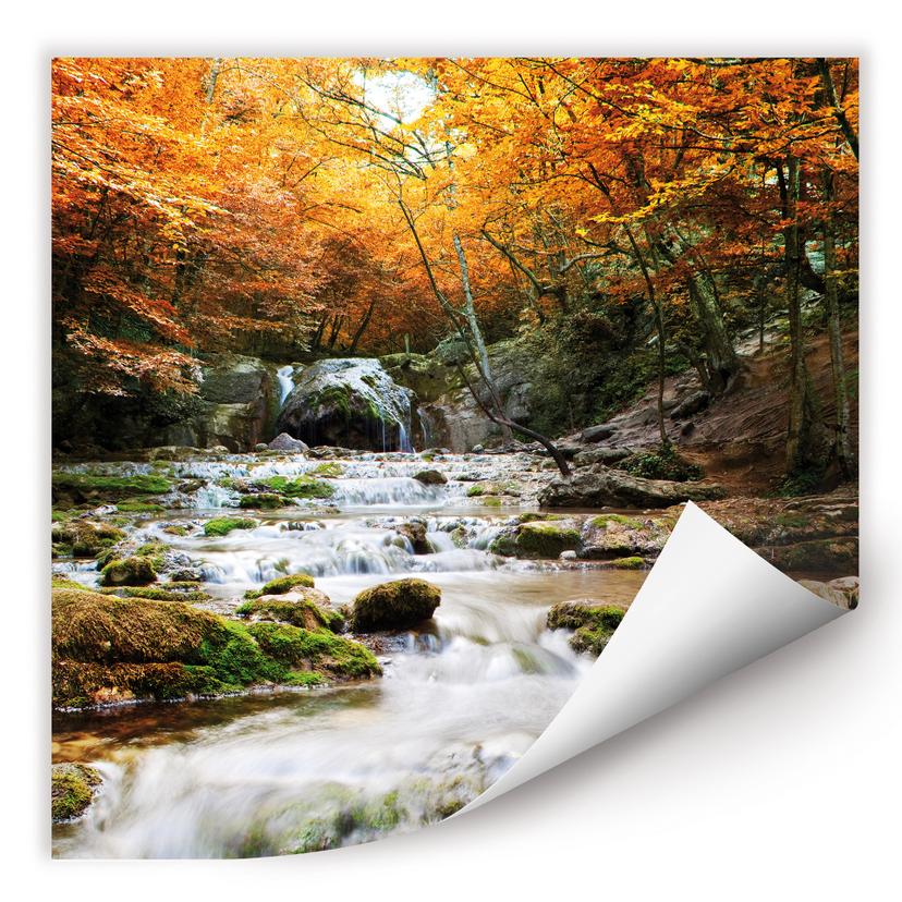 Poster autocollant - W - Cascade en Automne