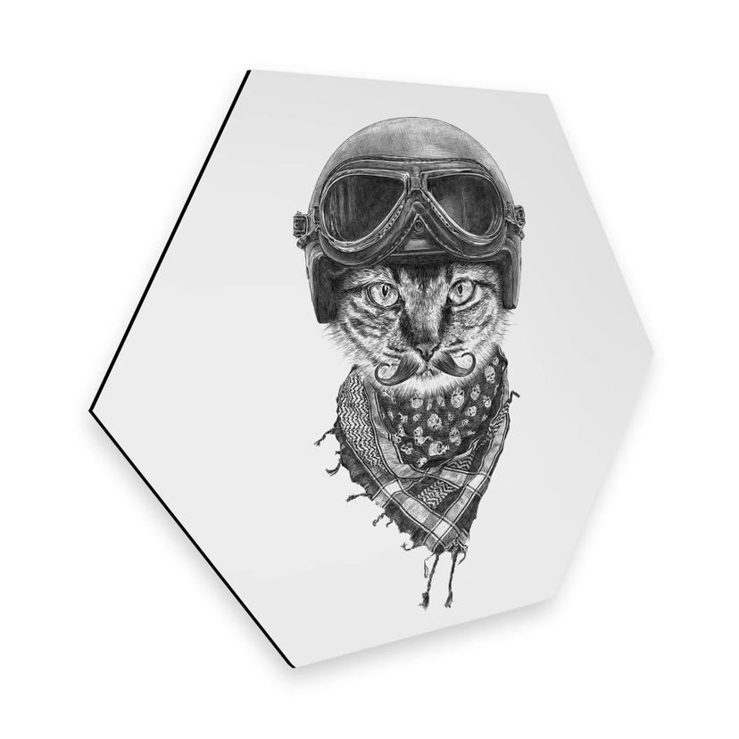 Hexagon - Alu-Dibond Kools - Biker Cat