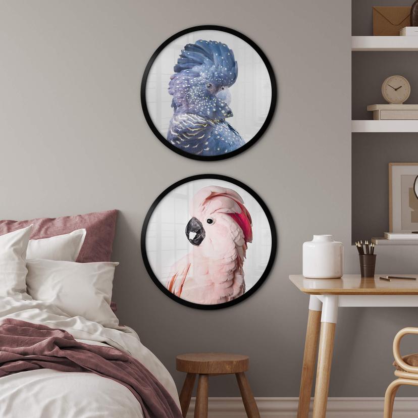 Poster Sisi & Seb - Blue Cockatoo