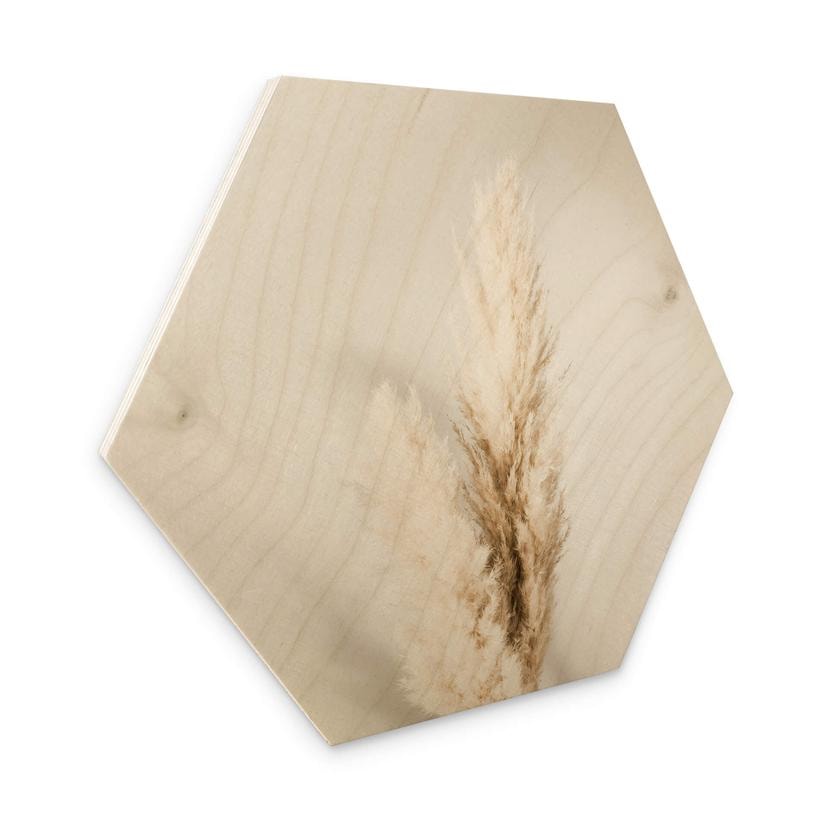 Hexagone - Bois 1X Studio - Herbes de la Pampa