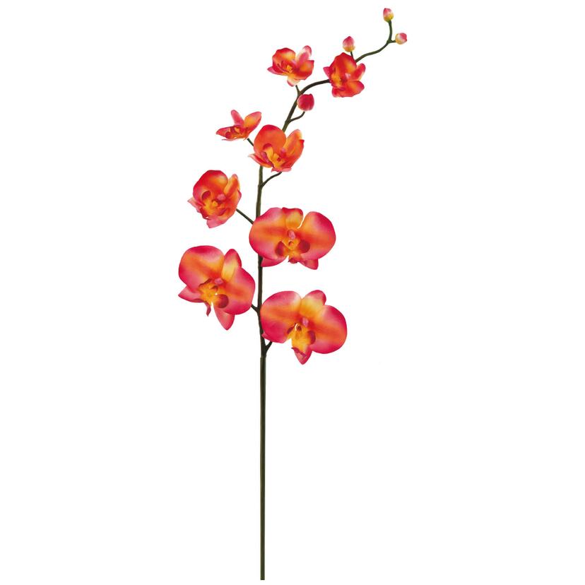 Adesivo murale - Orchidee 1