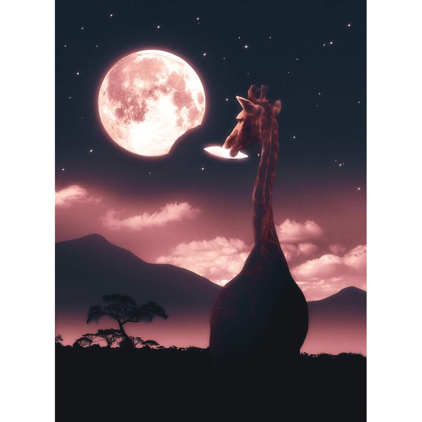 Fotomurale Loose - Tasty Moon