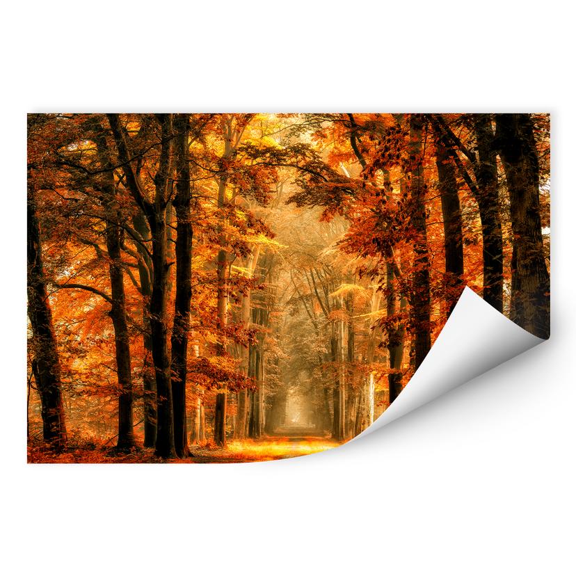 Zelfklevende Poster van de Goor - Autumn Alley