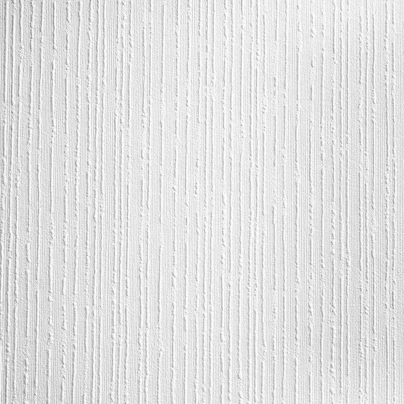 Papier peint intissé recouvrable A.S. Création Meistervlies Pro Protect 2 blanc