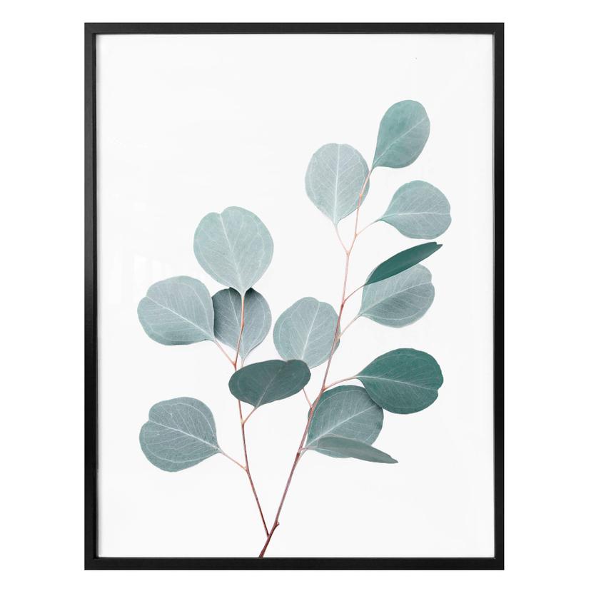 Plakat - Sisi & Seb - Blå eucalyptus
