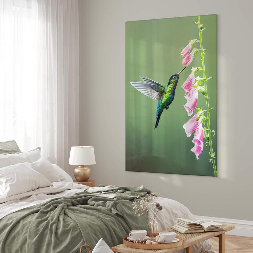 Stampa su vetro acrilico van Duijn - Colibrì nella magia dei fiori rosa