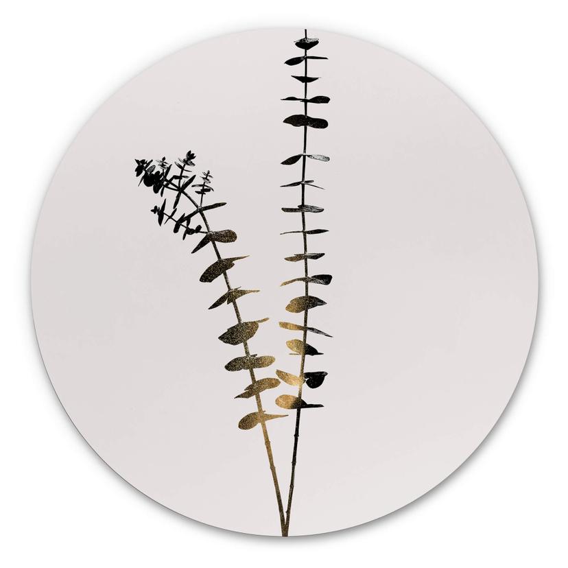 Alu-Dibond Kubistika - Schwarz-Goldener Eukalyptus - Rund – print på aluminium (Alu-Dibond)