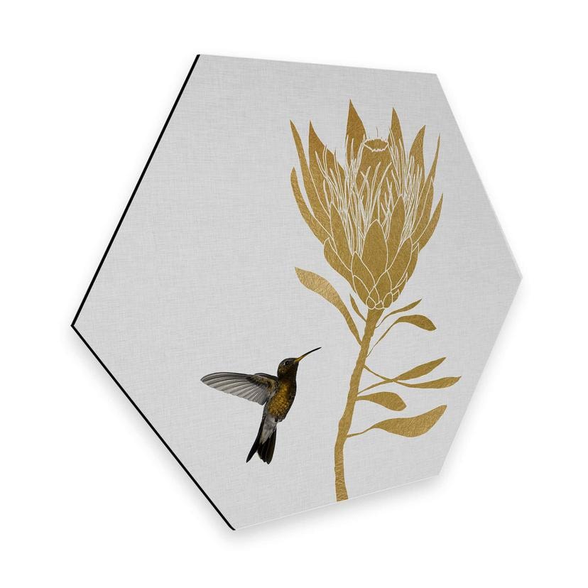Hexagon Dibond Orara Studio - Hummingbird & Flower