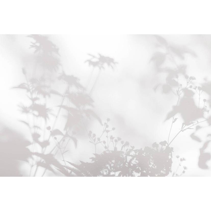 Livingwalls fotomurale Walls by Patel 3 Ombre