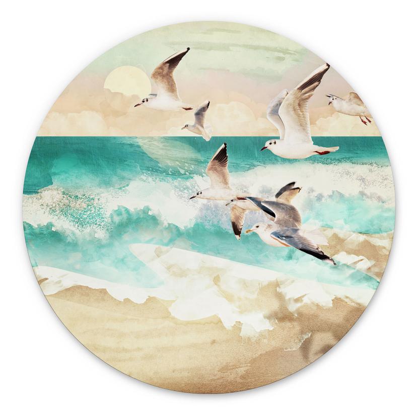 Dibond vægdekoration Måger på stranden - SpaceFrog Designs – print på aluminium (Alu-Dibond)
