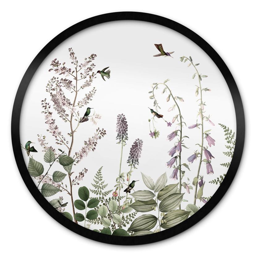 Póster Sir Edward - Colibríes en el jardín - Redondo