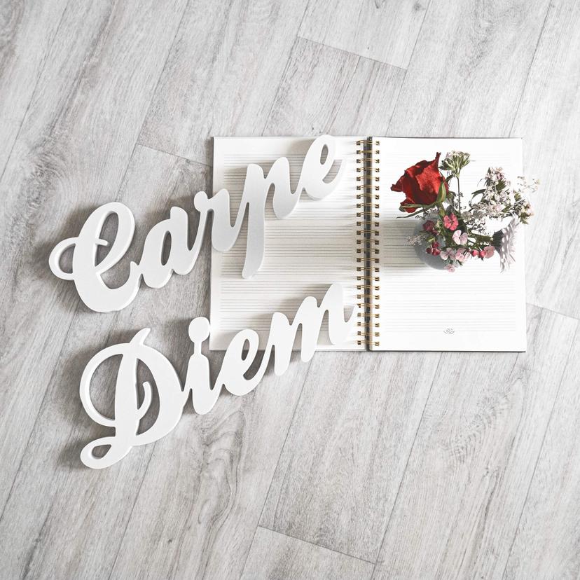 Lettre décorative - 3D Carpe Diem