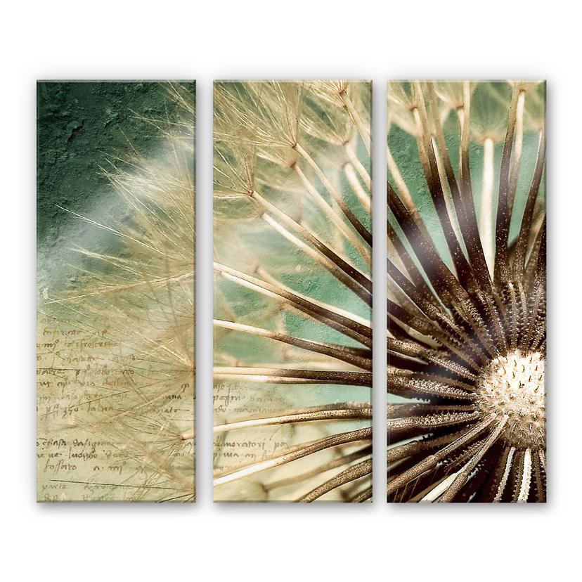 Tableau en verre acrylique - Pissenlit (3 parties)