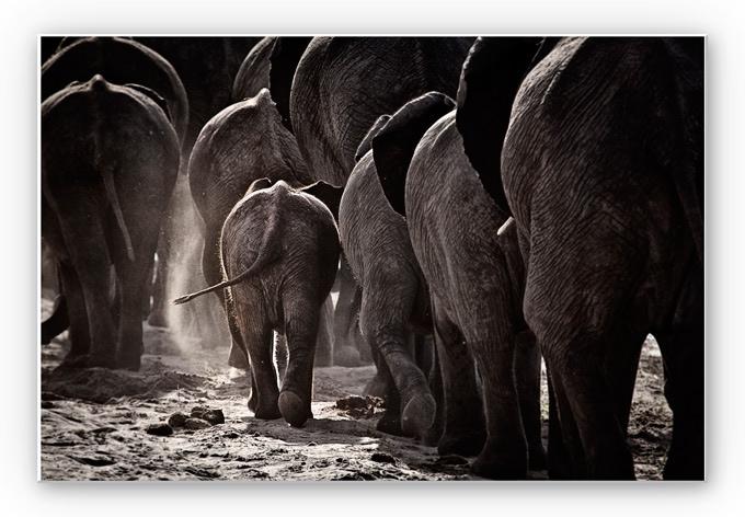 Wanddecoratie McRae – Walking Home