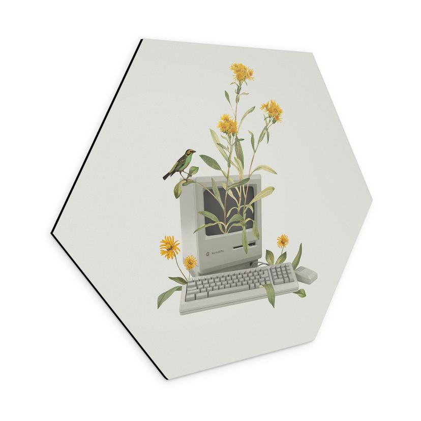 Hexagon-Wandbild Vintage Botanik-Computer - Frida Floral Studio - Alu-Dibond