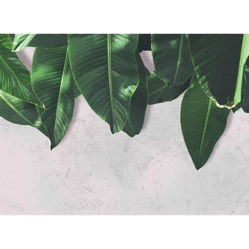 Livingwalls Fotomurale Designwalls -  Foglie