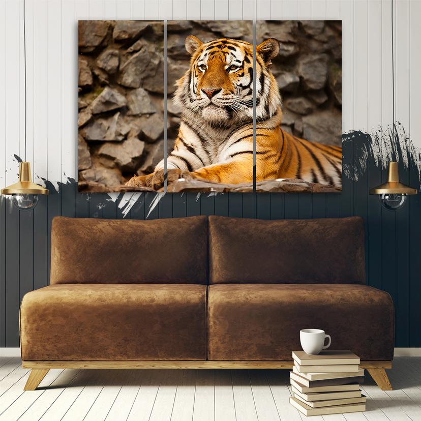 Stampa su tela in 3 pezzi, animali della tigre dell'Africa
