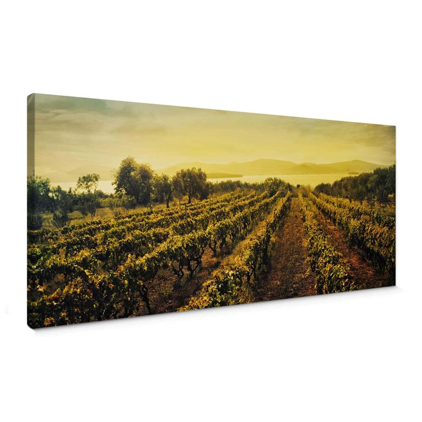 Lienzo Vides al atardecer - Panorama