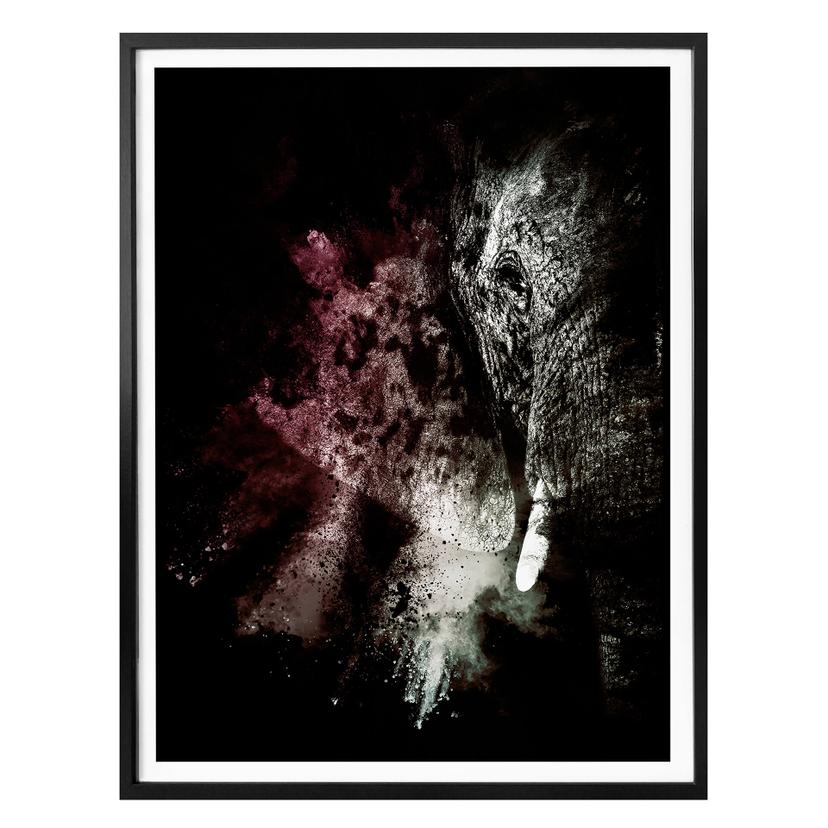 Póster Hugonnard - Explosión salvaje: Elefante 02