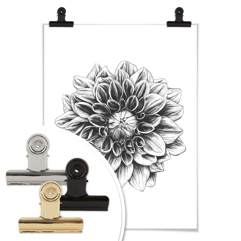 Póster Kools - Dalia